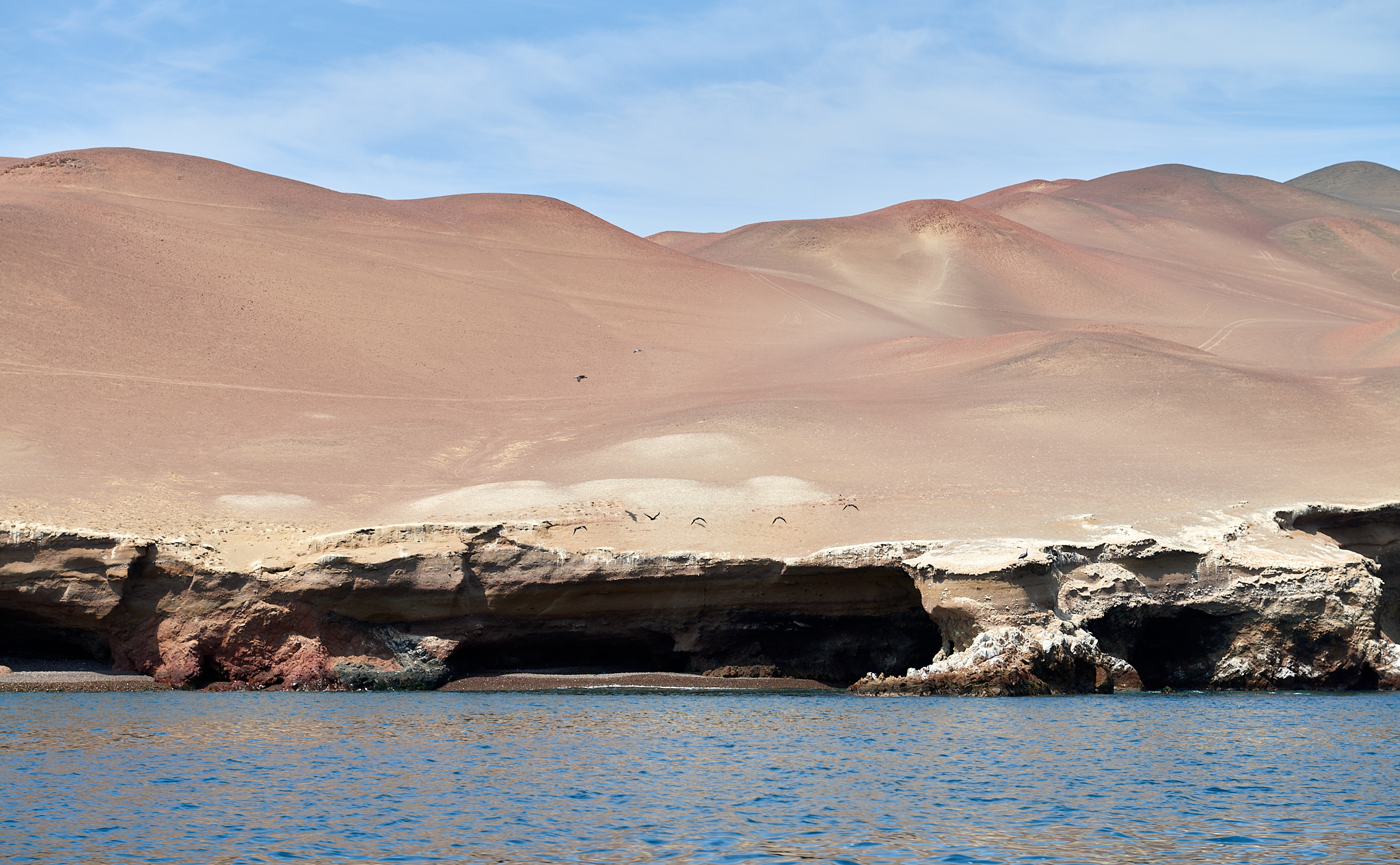 20200304 095 [페루] 바예스타섬